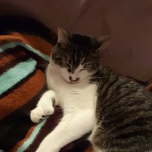 Meet your Posher, Lucie